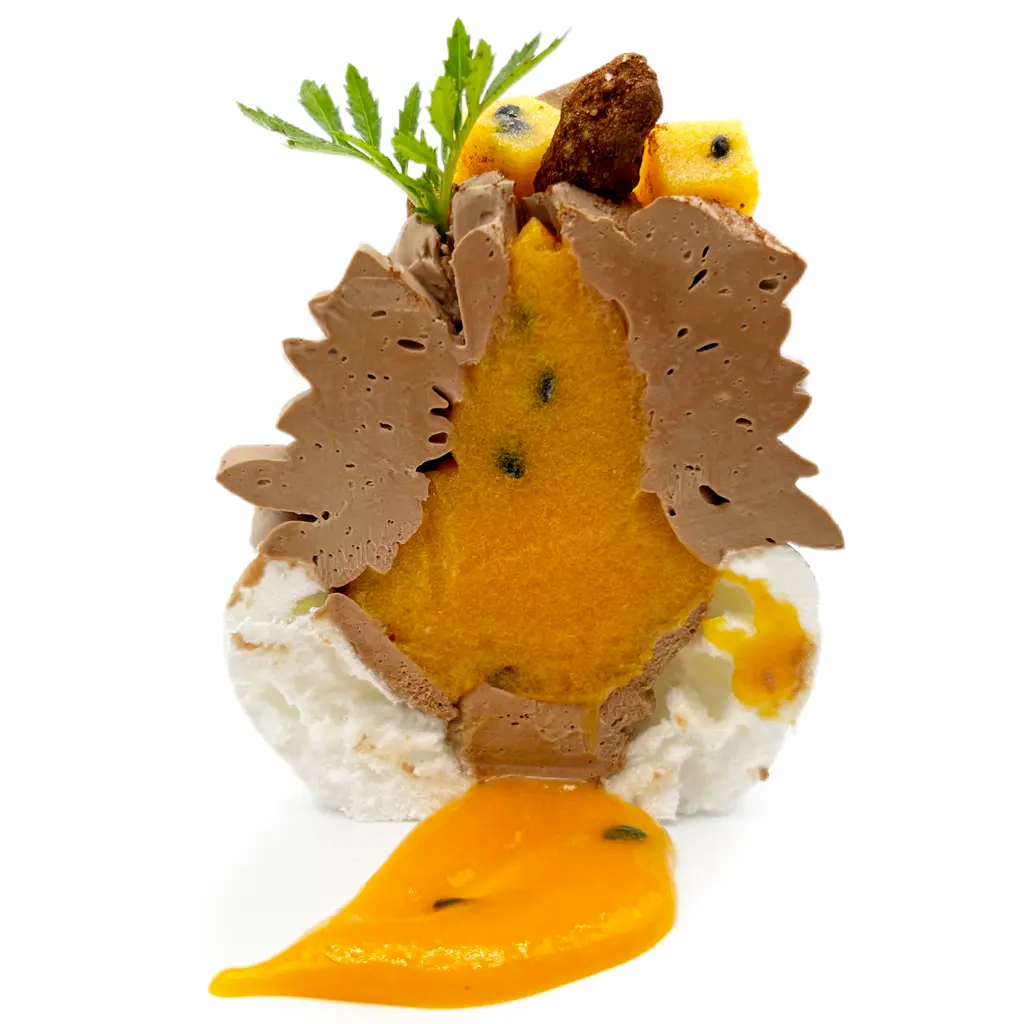 Pavlovas Joël MAIER à Lyon