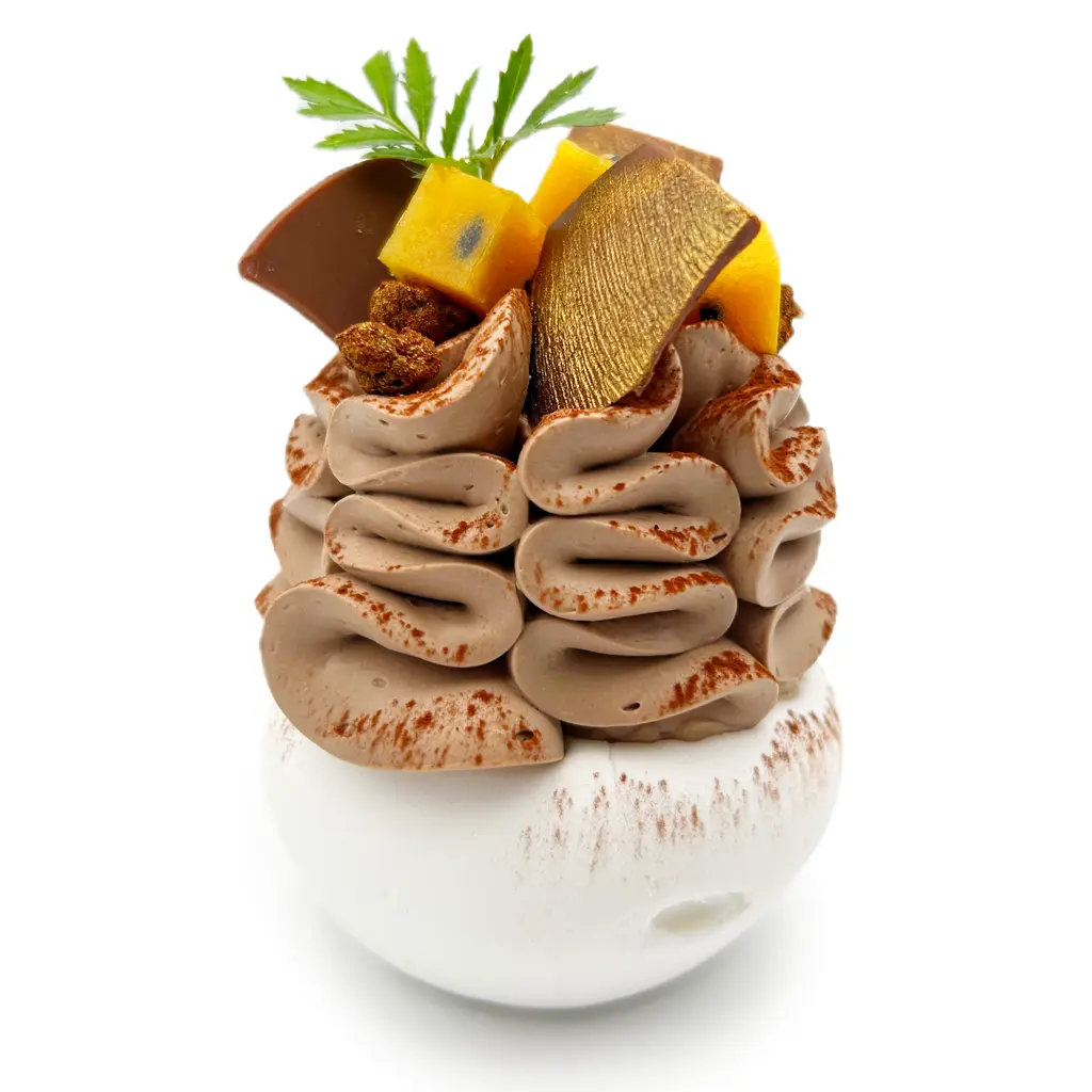 Pavlovas Joël MAIER à Lyon
