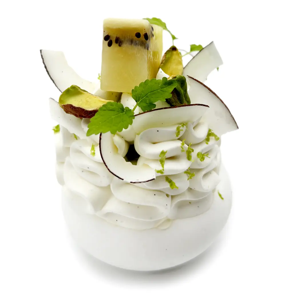 Pavlovas Joël MAIER à Lyon