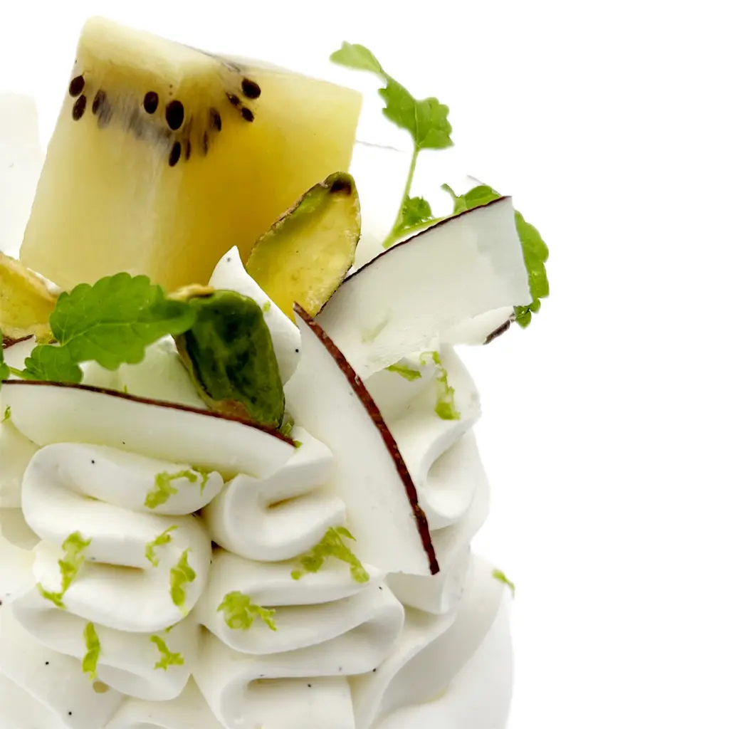 Pavlovas Joël MAIER à Lyon