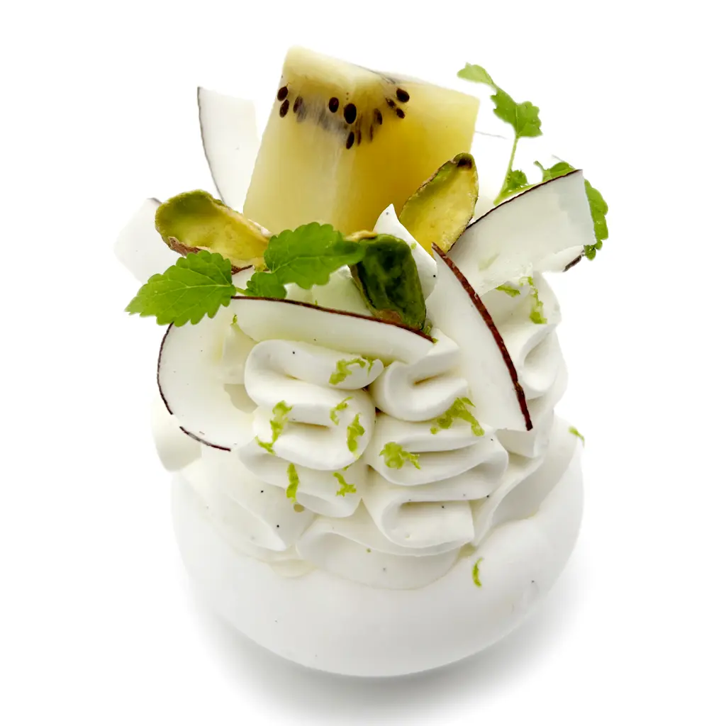 Pavlovas Joël MAIER à Lyon