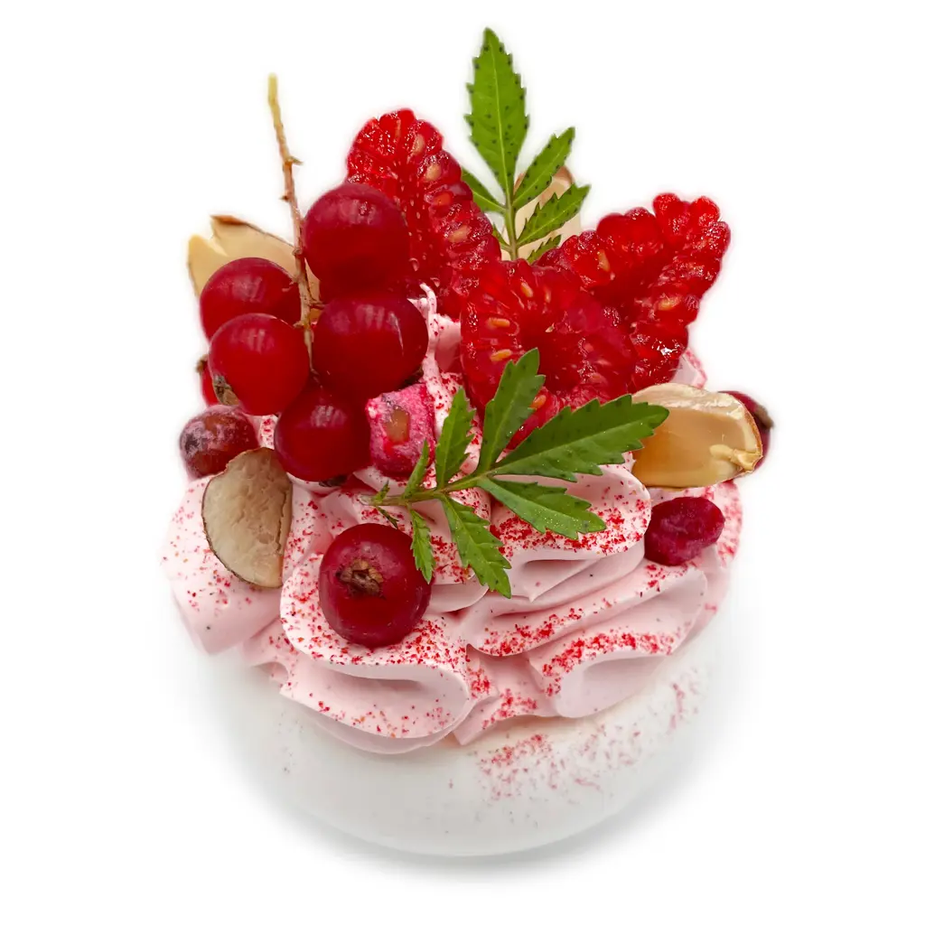 Pavlovas Joël MAIER à Lyon