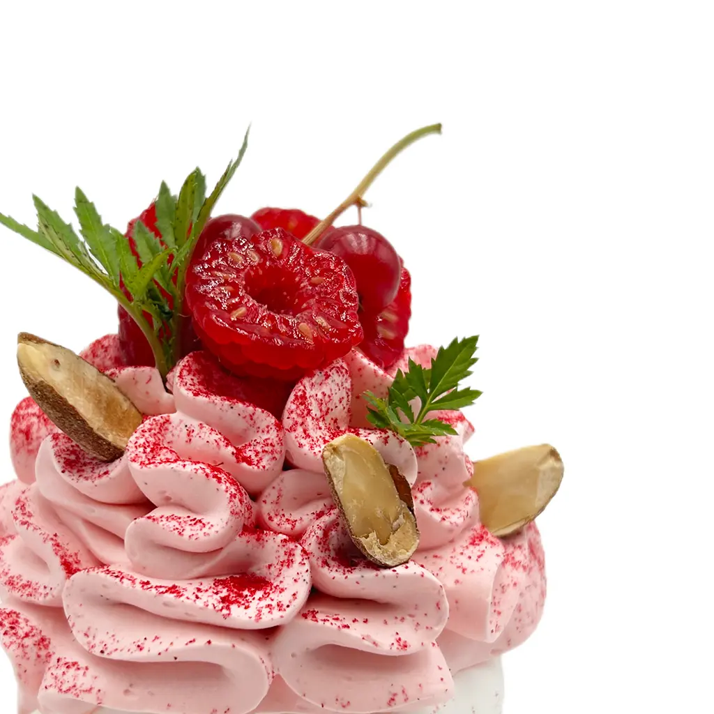 Pavlovas Joël MAIER à Lyon