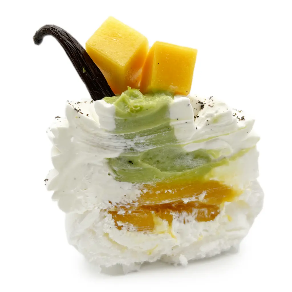 Pavlovas Joël MAIER à Lyon