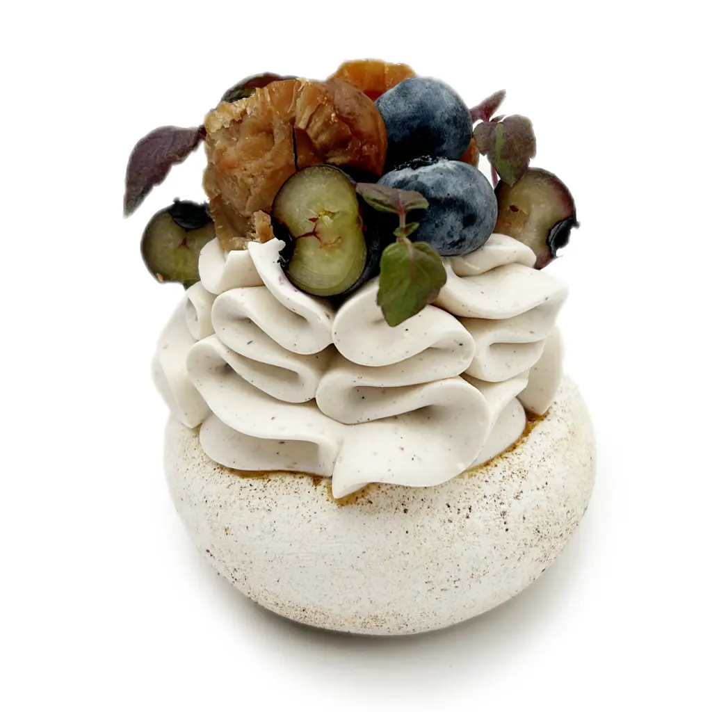 Pavlovas Joël MAIER à Lyon