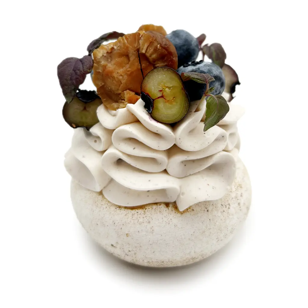 Pavlovas Joël MAIER à Lyon