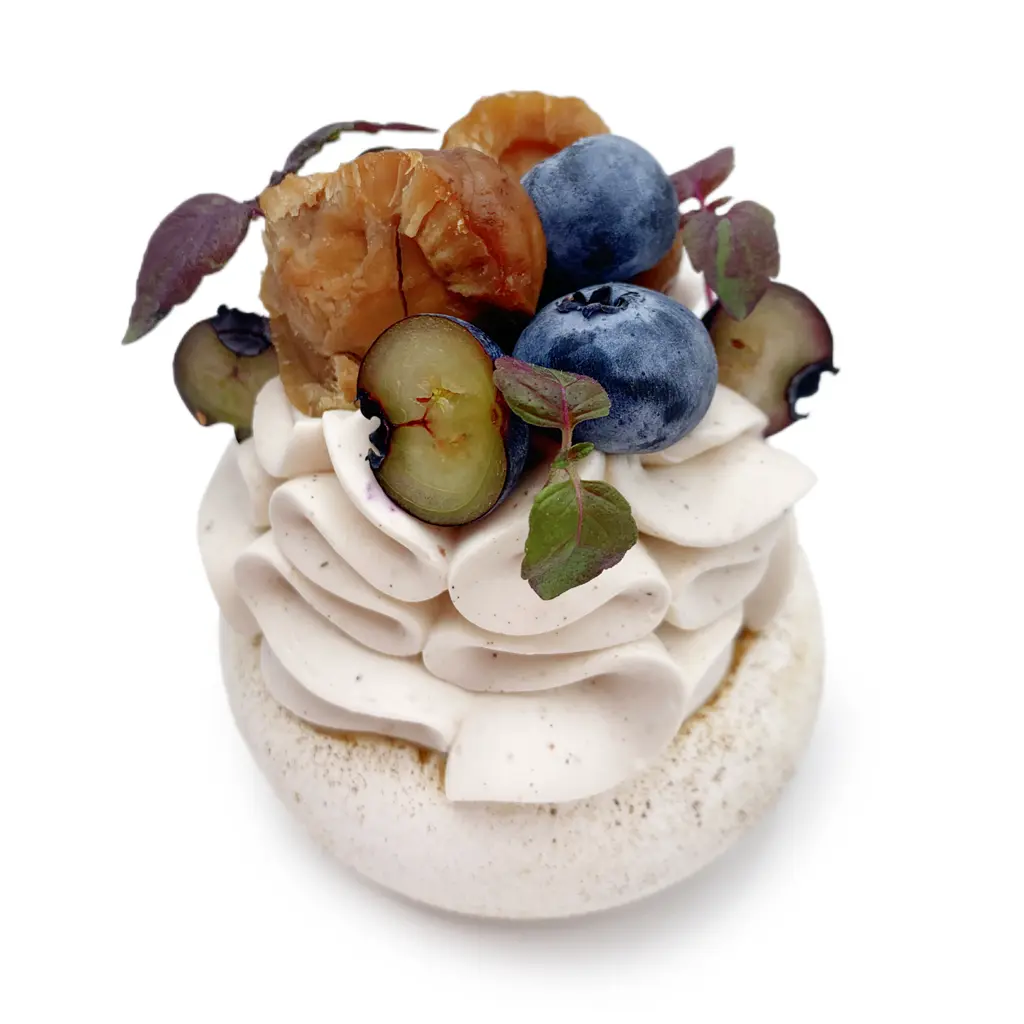 Pavlovas Joël MAIER à Lyon