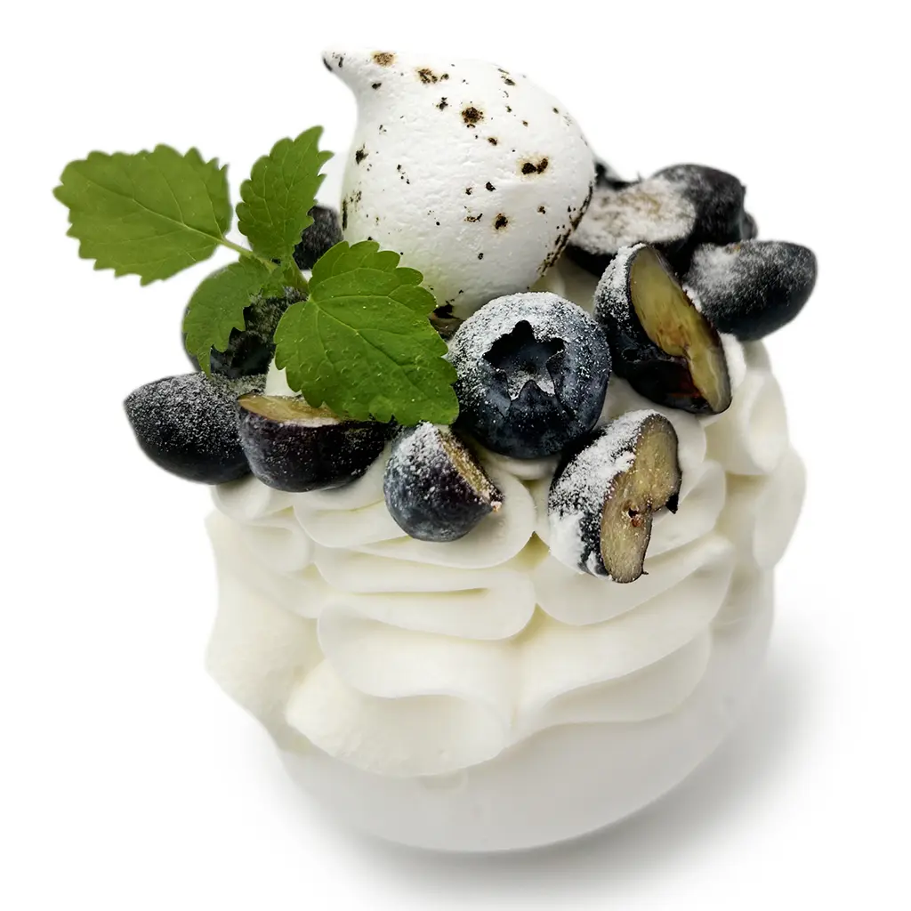 Pavlovas Joël MAIER à Lyon