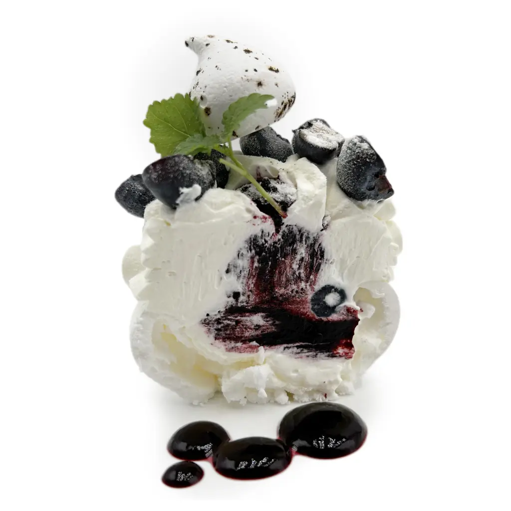 Pavlovas Joël MAIER à Lyon