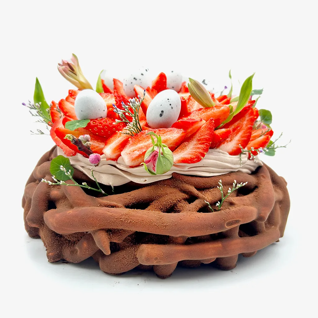 Pavlovas Joël MAIER à Lyon