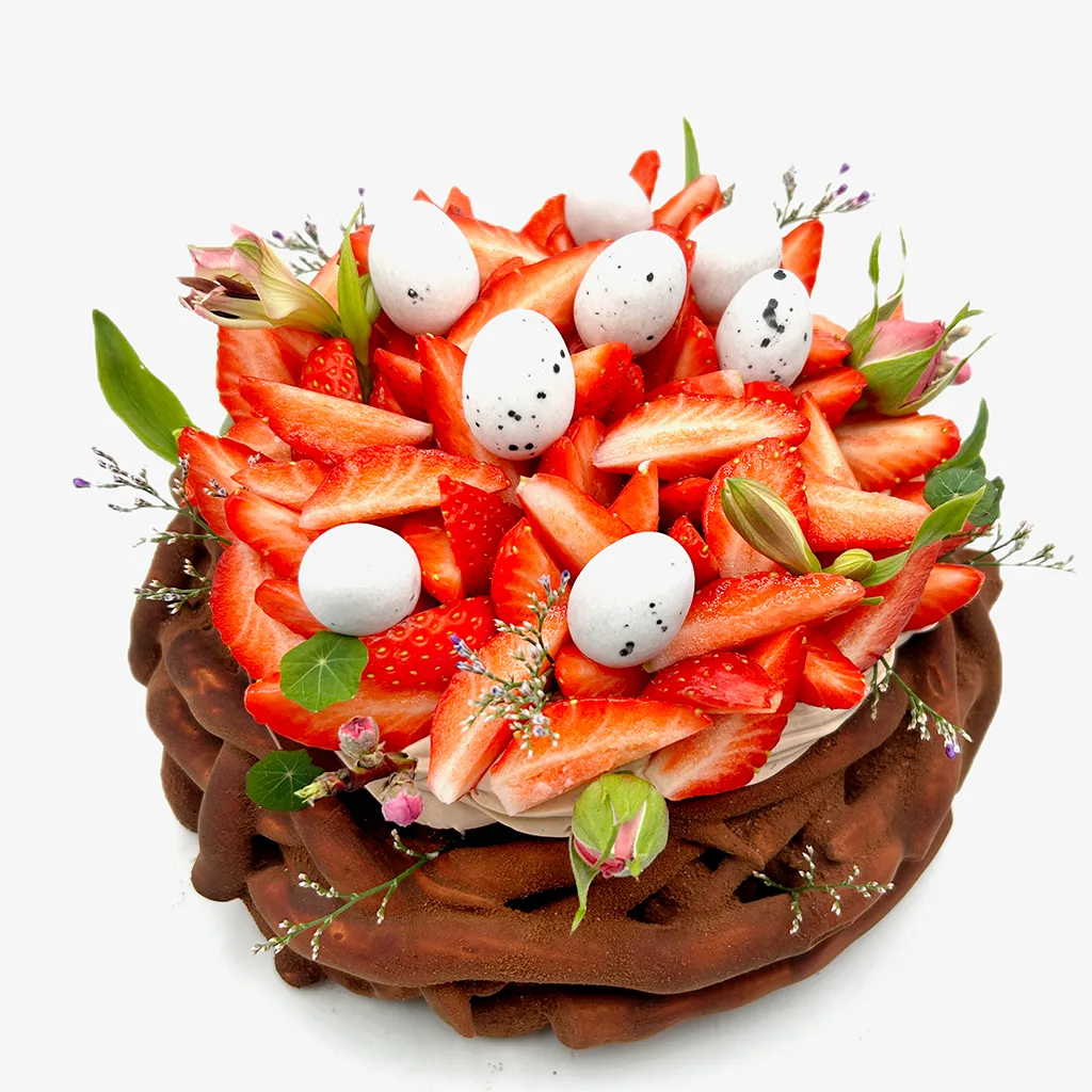 Pavlovas Joël MAIER à Lyon