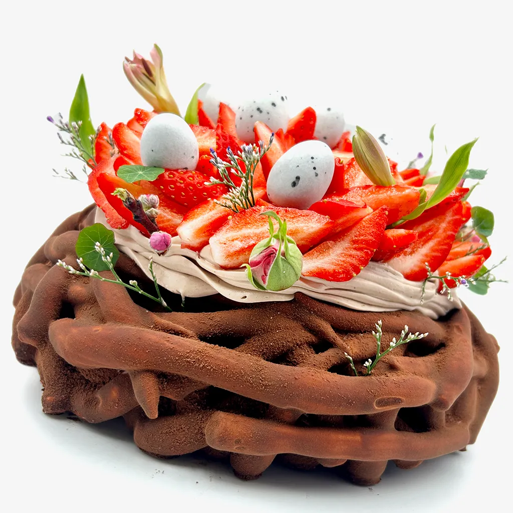 Pavlovas Joël MAIER à Lyon