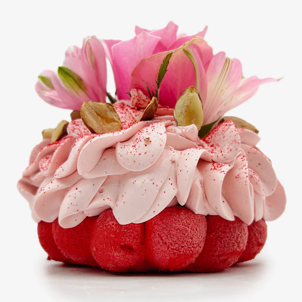 Pavlovas Joël MAIER à Lyon