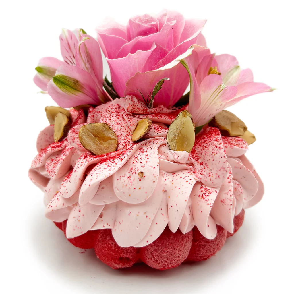 Pavlovas Joël MAIER à Lyon