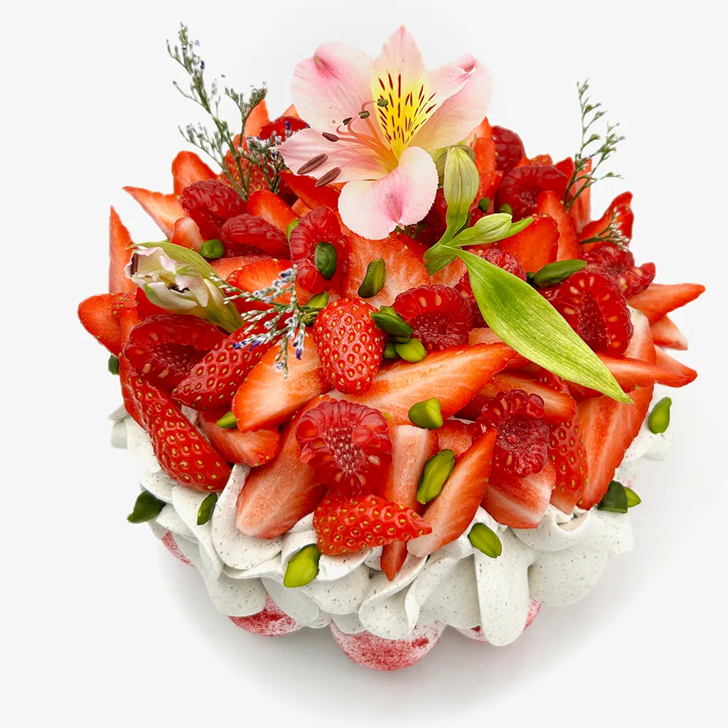 Pavlovas Joël MAIER à Lyon