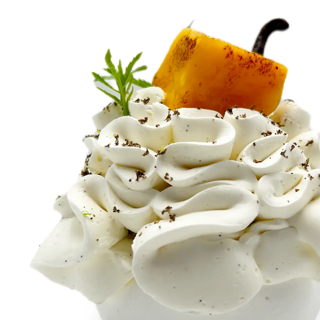 Pavlovas Joël MAIER à Lyon