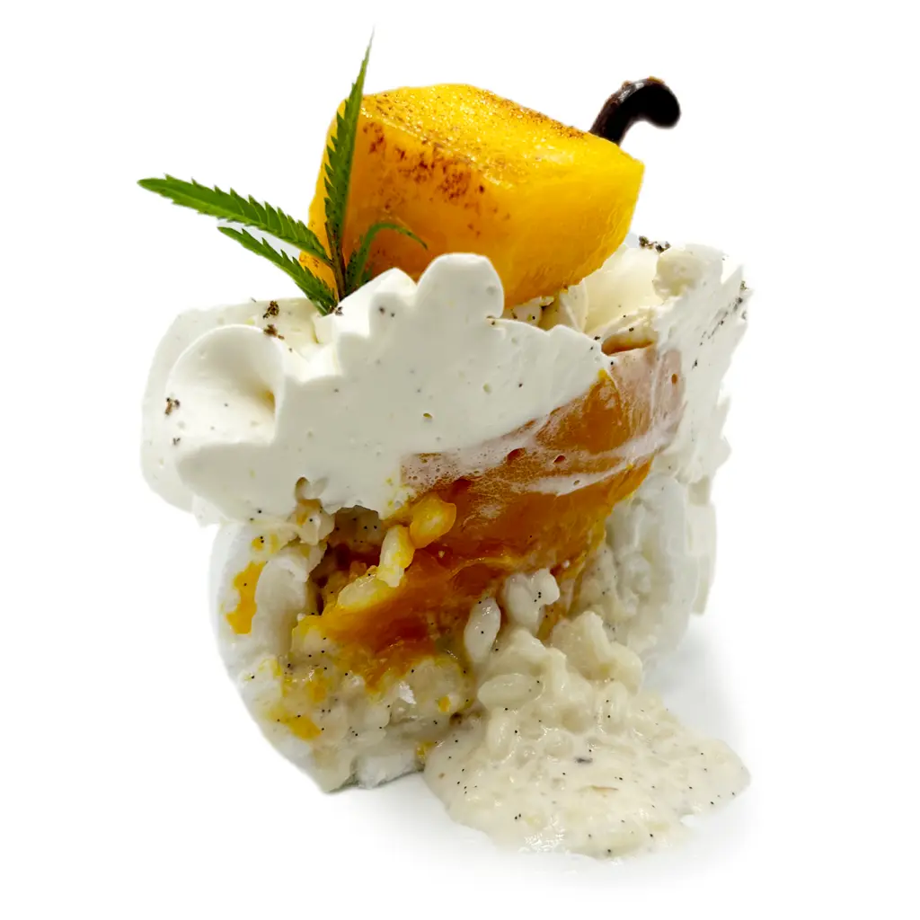 Pavlovas Joël MAIER à Lyon