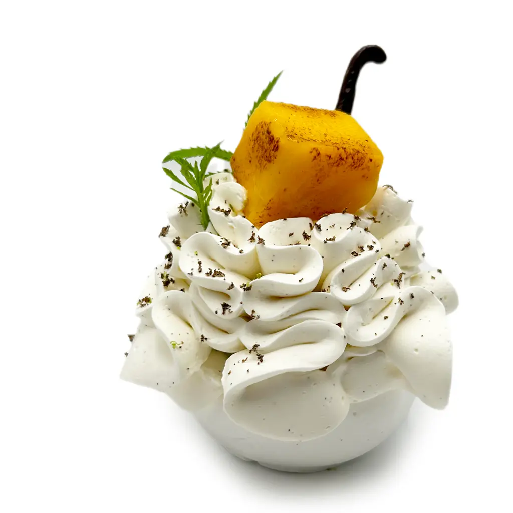Pavlovas Joël MAIER à Lyon