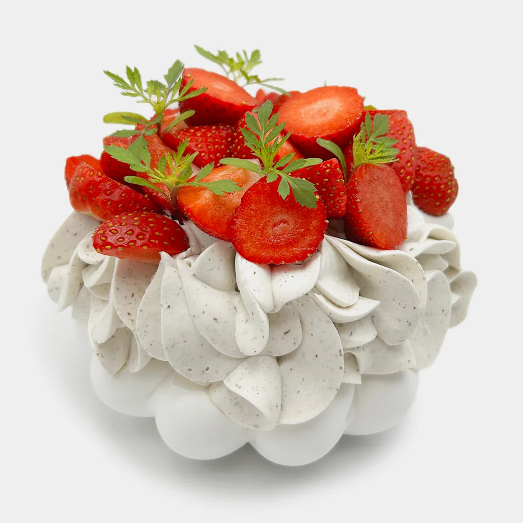 Pavlovas Joël MAIER à Lyon