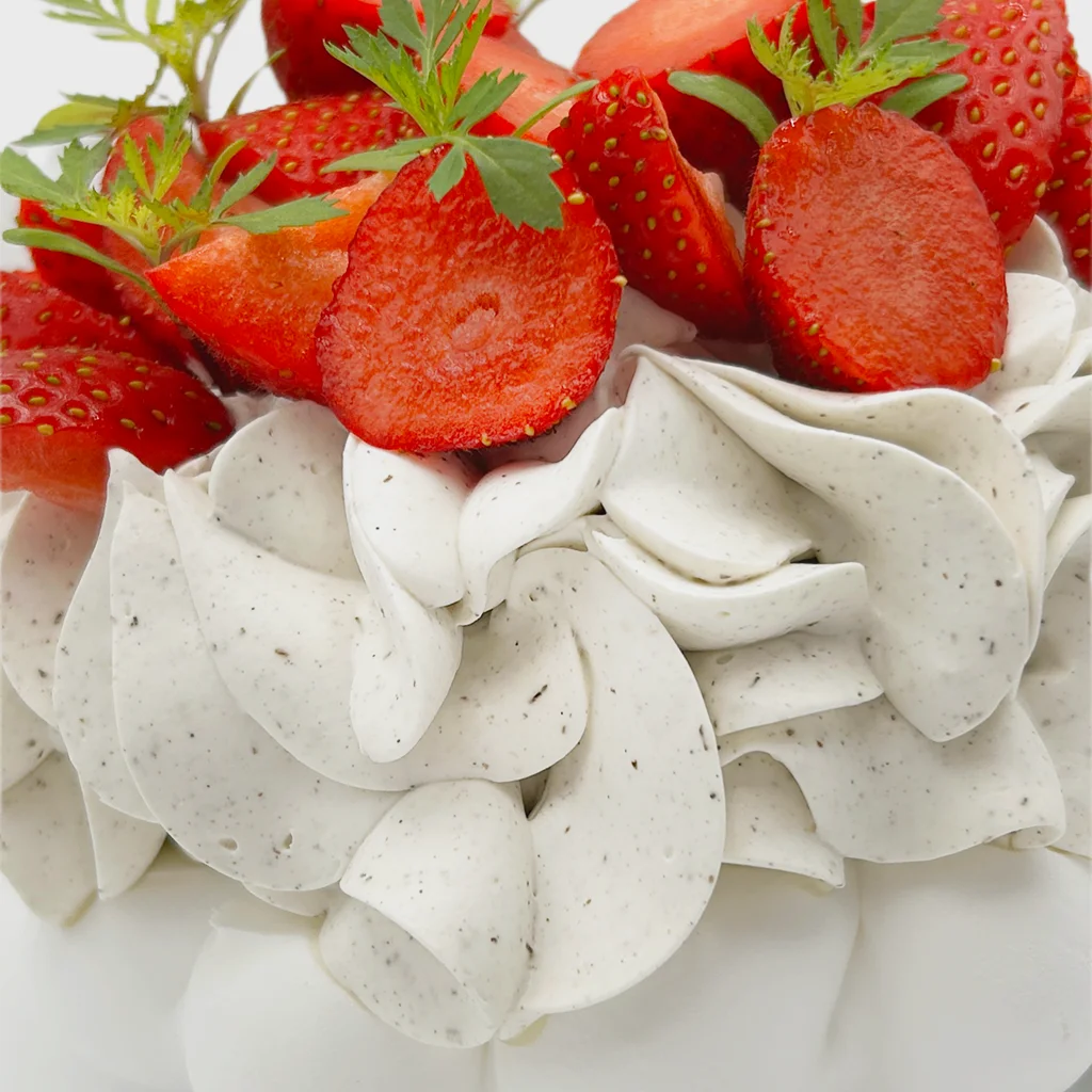 Pavlovas Joël MAIER à Lyon