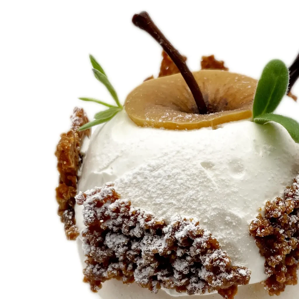 Pavlovas Joël MAIER à Lyon